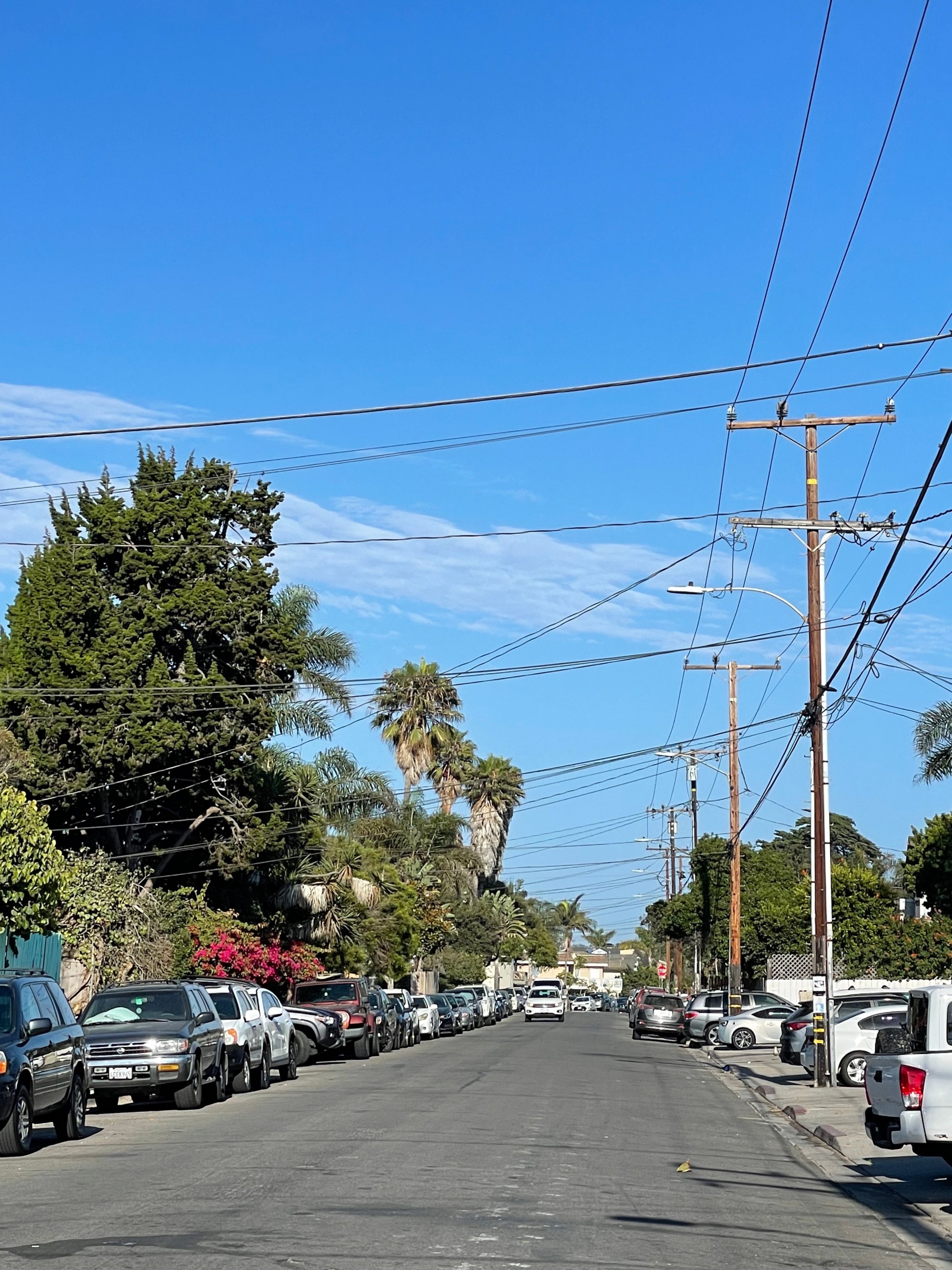 I.V. Community Services District Hires New Isla Vista Beautiful Manager