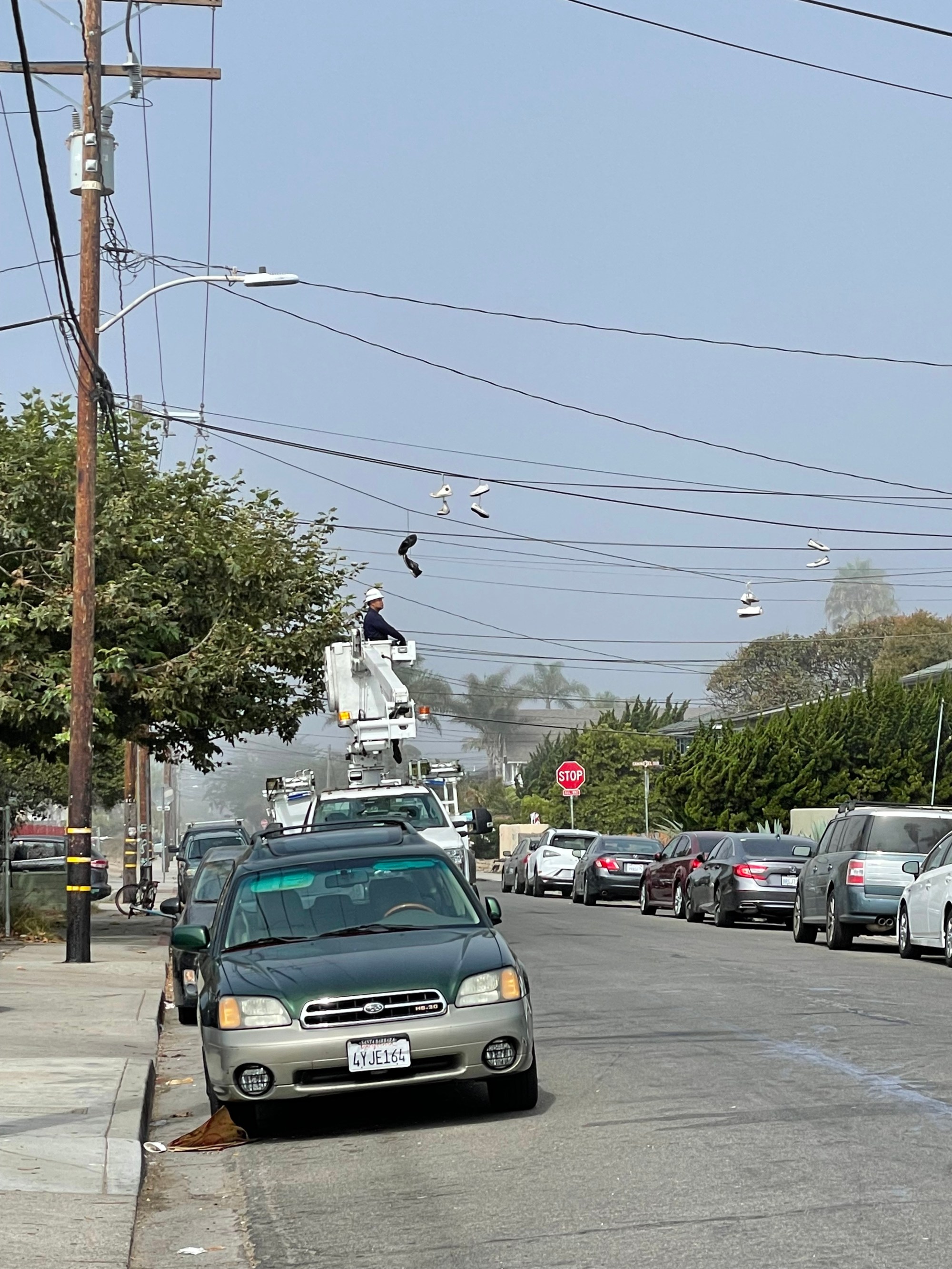 I.V. Community Services District Hires New Isla Vista Beautiful Manager