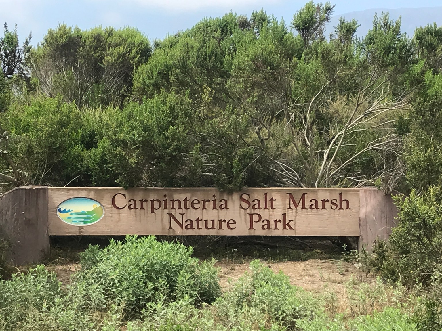 Carpinteria Salt Marsh Herb Walk with Lanny Kaufer The Santa Barbara