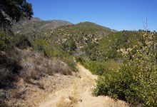 McMenemy Trail and Modoc Trees Controversies to Get Public Airing