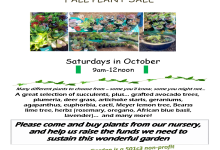 Mesa Harmony Garden Fall Plant Sale