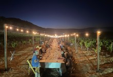 Full Belly Files | Coming Out Party for Popelouchum