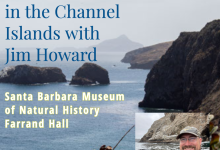Program: Seabird Monitoring in the Channel Islands