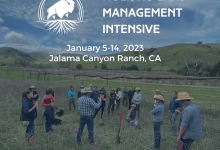 Holistic Management Intensive 10-day Course