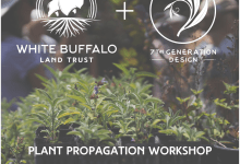 Plant Propagation Workshop at WBLT