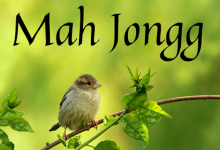 Mah Jongg Tournament Readiness Class