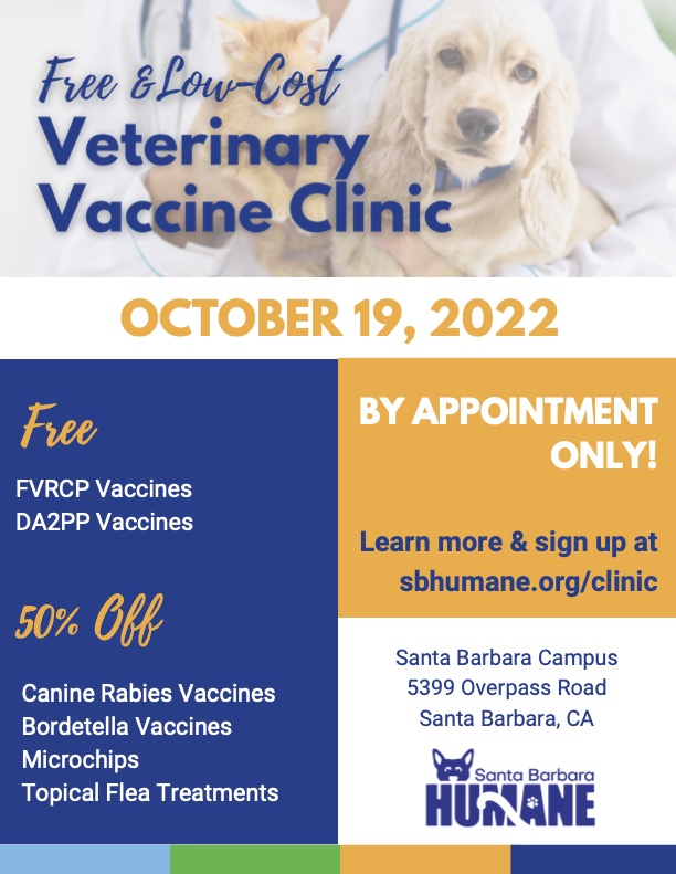 Vaccine Clinic Fvrcp Cat Vaccine Cost Clinic Service Cat And