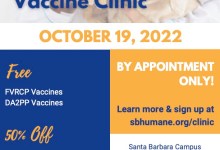 Santa Barbara Humane to Offer Free and Low-Cost Vaccines at Veterinary Vaccine Clinic