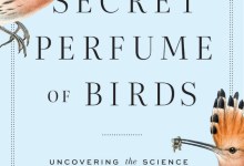 “The Secret Perfume of Birds” Lecture with Danielle Whittaker