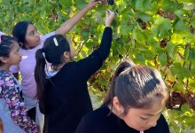 SEEAG Looking for Farms to Host Farm Lab Field Trip Agricultural Education Program in Santa Barbara County