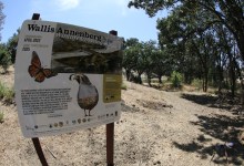 Bridging the Gap: Construction Begins on Wallis Annenberg Wildlife Corridor