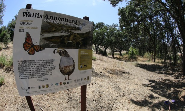 Bridging the Gap: Construction Begins on Wallis Annenberg Wildlife Corridor