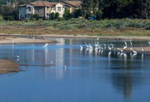 Creeks, Trash, Storm Water, Riparian Habitat: Goleta Wants Your List
