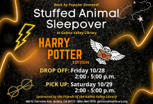 Stuffed Animal Sleepover: Harry Potter Edition