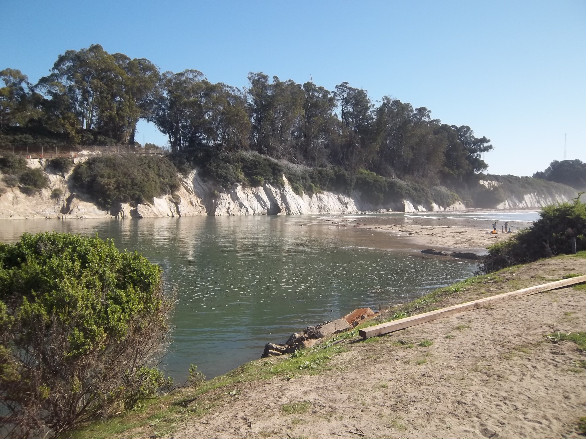 Yes on Measure B to Keep Goleta's Creeks and Beaches Clean and Safe The Santa Barbara Independent