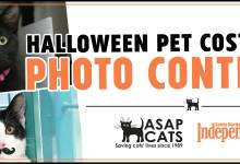 Halloween Pet Costume Photo Contest 2022