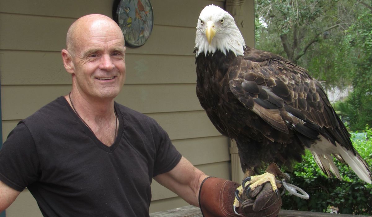 The Bald Eagle': Spirit Bird, Livestock Thief, National Symbol - The Santa  Barbara Independent