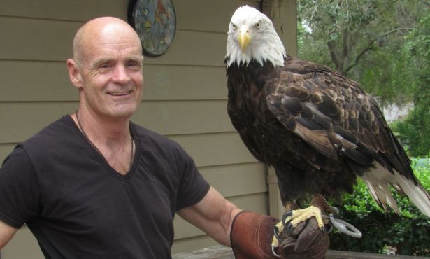 ‘The Bald Eagle’: Spirit Bird, Livestock Thief, National Symbol