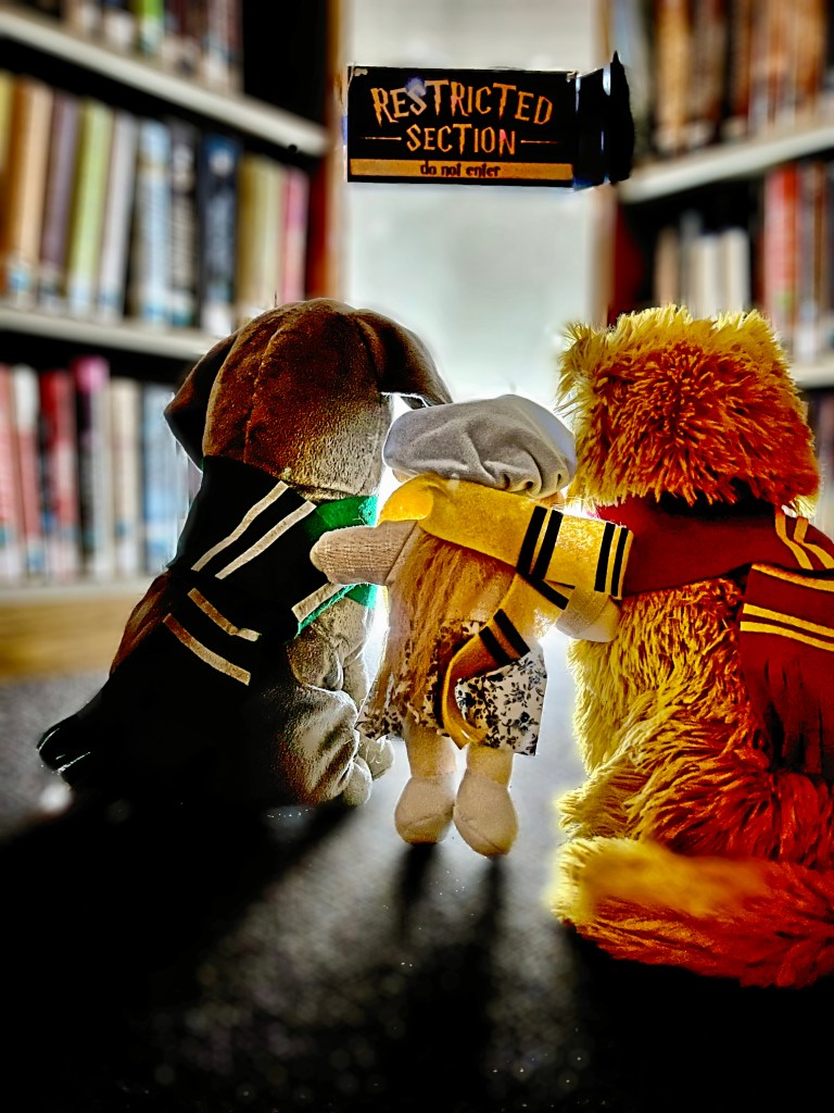 Stuffed Animal Sleepover: Harry Potter Edition at Goleta Valley Library -  The Santa Barbara Independent