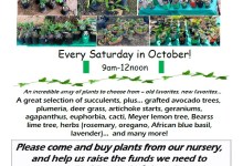 Mesa Harmony Garden Fall Plant Sale