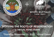 Weaving the Roots of Regeneration Virtual Panel