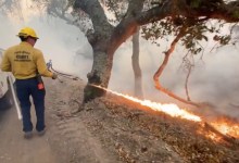 Santa Barbara County Firefighter Uses Flamethrower in Controlled Burn