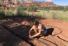 Growing Plants While Cutting Water Use in Half