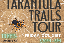 Tarantula Trails Tour