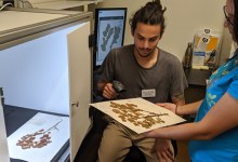 WeDigBio Volunteer Days at SB Botanic Garden