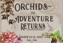 The Santa Barbara International Orchid Show