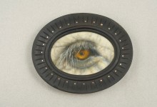 View 47 Paintings of Endangered Animals’ Eyes