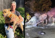 Homeless Woman from Santa Barbara Rescues Driver in Paradise Road Car Fire