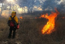 UCSB Sedgwick Reserve Planned to Go Up in Flames on November 17
