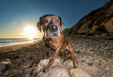 Nina, Lance, and Bernie