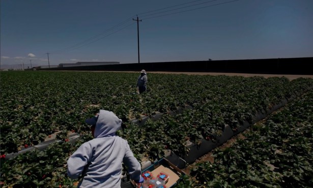 Santa Barbara County to Seek State Grant for $1M Farmworker Resource Center
