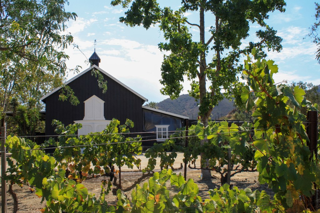 Vega Vineyard Returns to Form in Buellton The Santa Barbara Independent