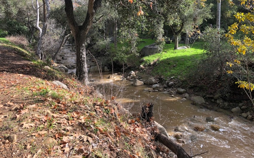 News Page 3 of 923 The Santa Barbara Independent