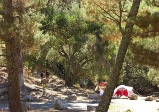 Los Padres Campsite Fees Go Up