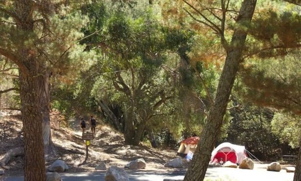 Los Padres Campsite Fees Go Up