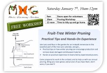 Mesa Harmony Garden Fruit-Tree Winter Pruning