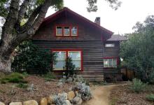 Snuggled Under a Camphor Tree