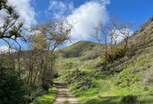 Open Weekend at Arroyo Hondo Preserve