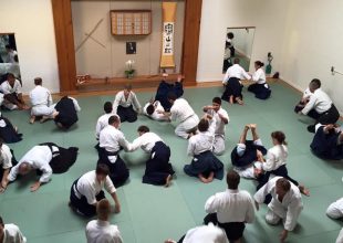 Finding Peace and Balance at Aikido of Santa Barbara