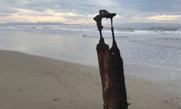 Remove the Rusting Relics under Ellwood Beach