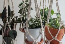 Macrame Plant Hanging Class