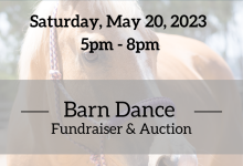 Barn Dance – Hearts Therapeutic Equestrian Center Benefit