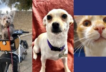 Lana, Bernadette, and Nicolas