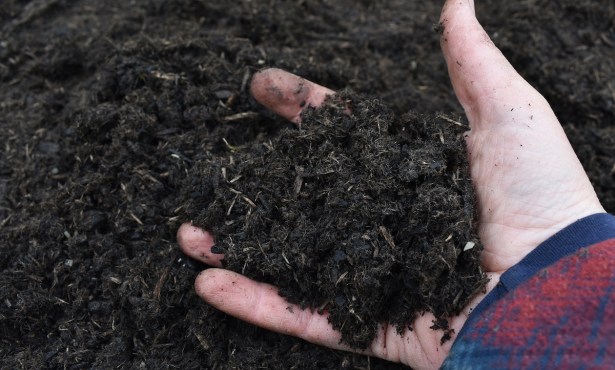 Biochar: Its Pluses and Minuses