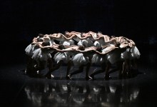 Sounding a Siren with ‘Swan Lake’