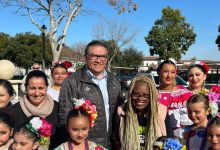 Black Lives, Black Voices